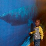 Dr. Gillespie's son in front of a shark mural