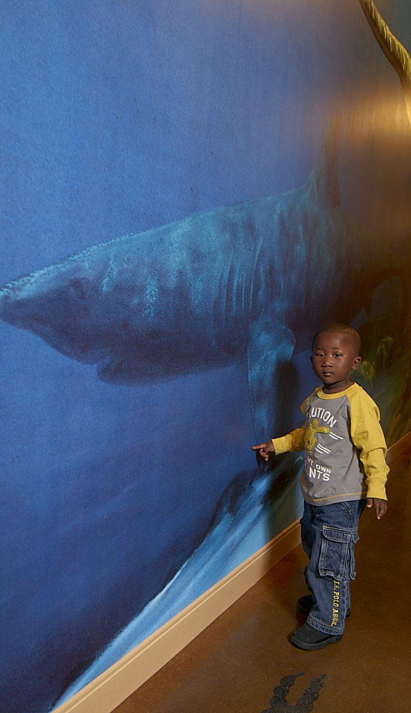 Dr. Gillespie's son in front of a shark mural
