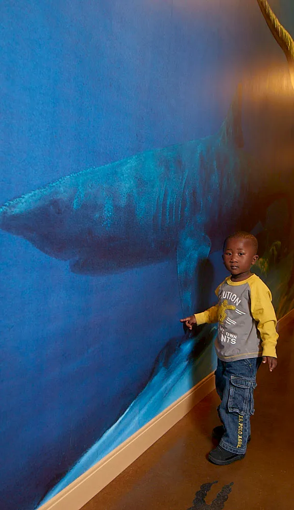 Dr. Gillespie's son in front of a shark mural