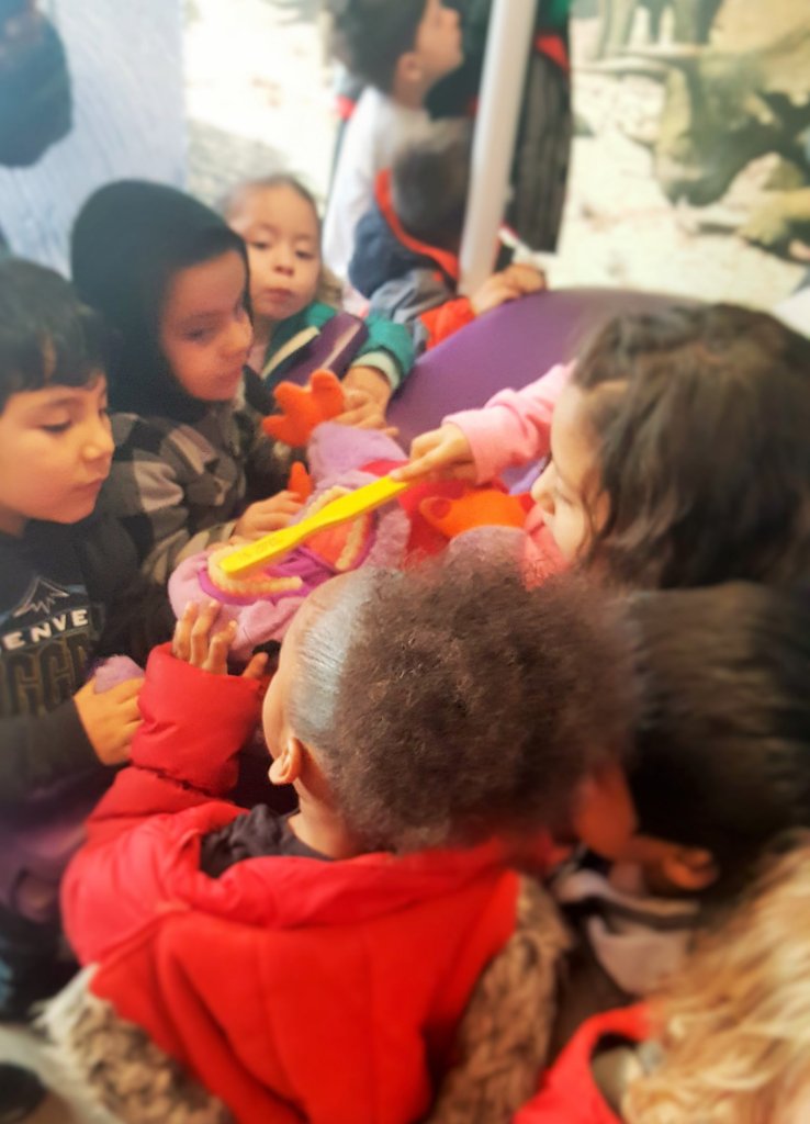 Lil Teeth Dentistry educational event