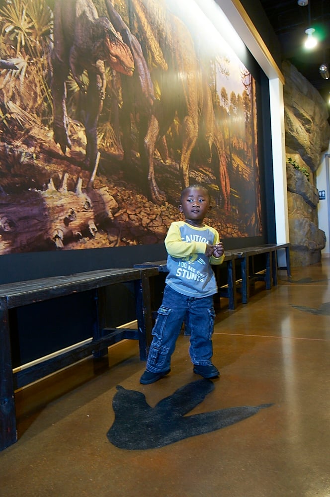 Dr. Gillespie's son in front of a dinsoaur mural