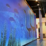 {PRACTICE_NAME} office underwater mural