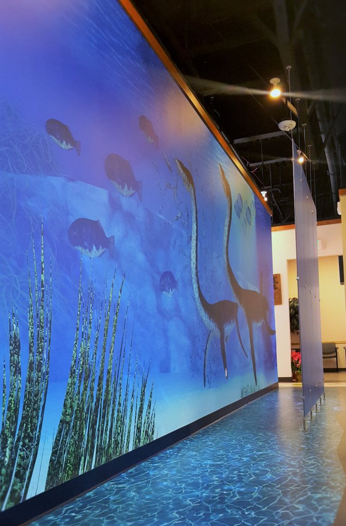 {PRACTICE_NAME} office underwater mural