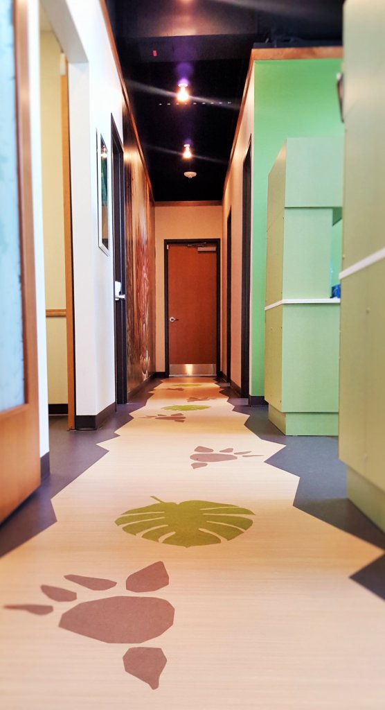 {PRACTICE_NAME} office hallway