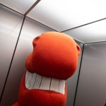 Mascot  photo in orange 