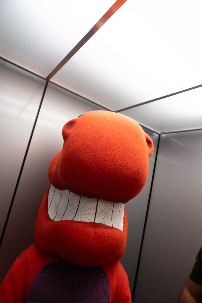 Mascot  photo in orange 
