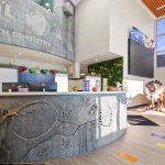 Dental Office 12